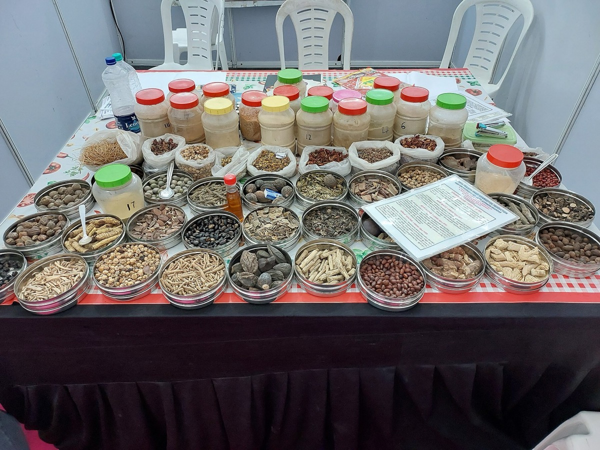 Ayurvedic Products Export Data 2026: Herbal Buyers