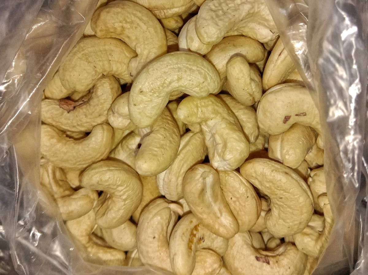 Cashew Export Data 2026: Buyers, Importers, HS Codes