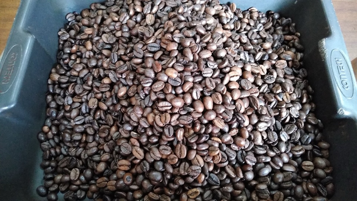 Coffee Export Data 2026: Buyers, Importers & HS Codes