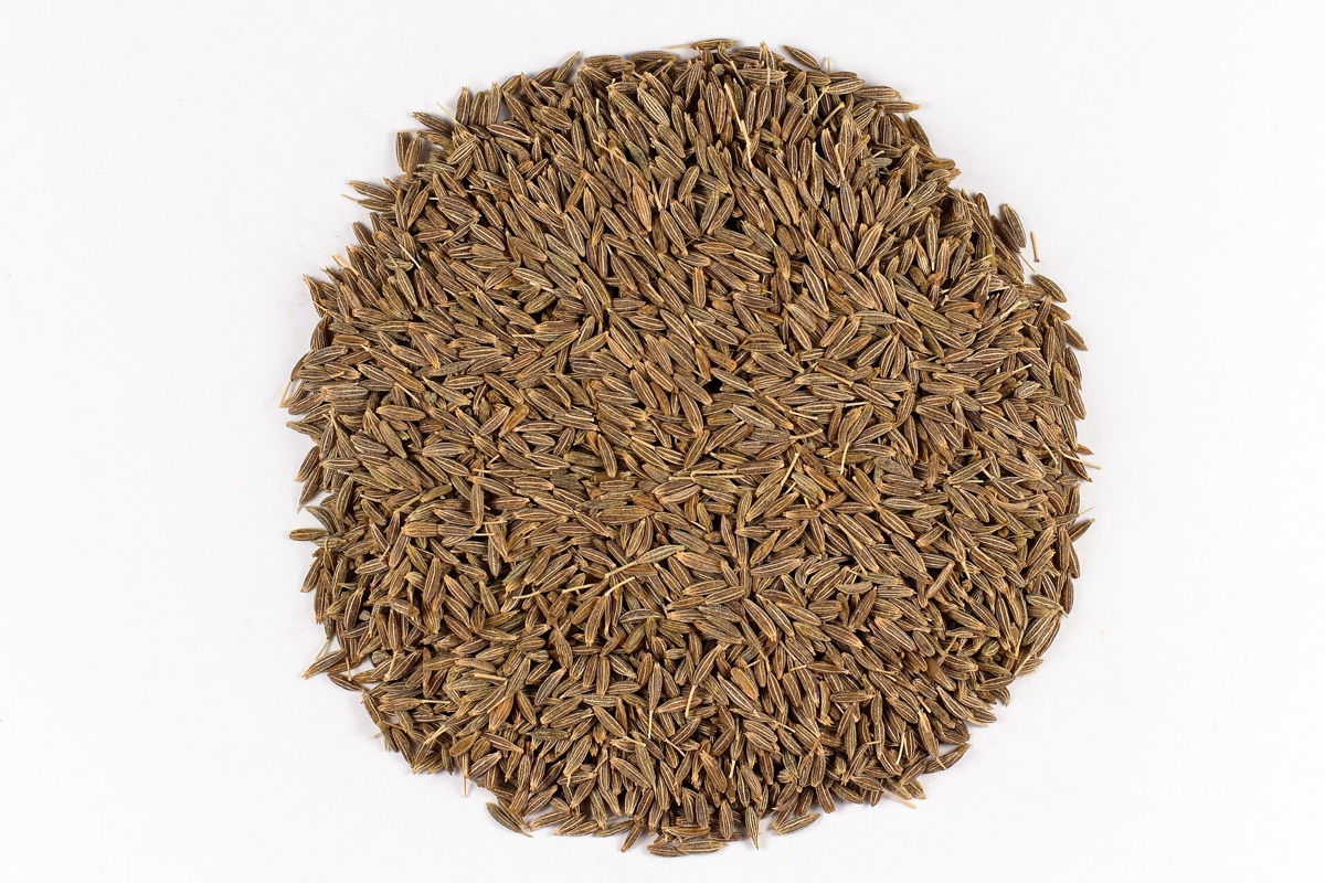 Cumin Export Data 2026: Top Buyers, Prices, HS Codes