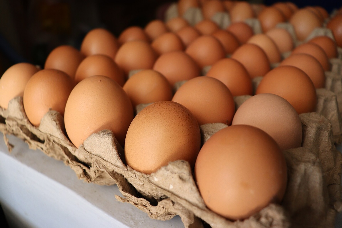 Egg Export from India 2026: Buyers, US Lane, HS Codes