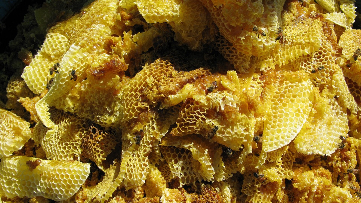 Honey Export from India 2026: Buyers, US Duty, HS 040900