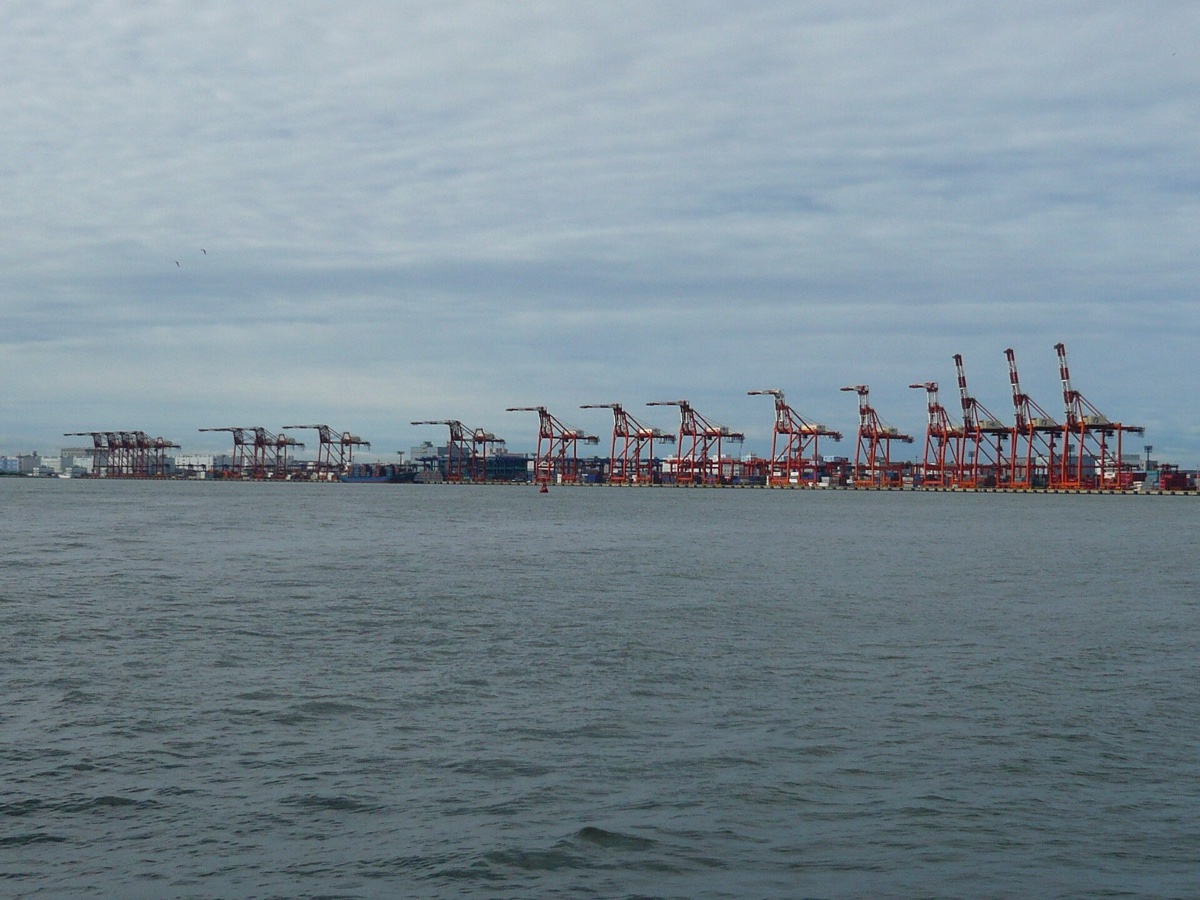 Japan Import Data: Top Buyers, HS Codes & Trends 2026