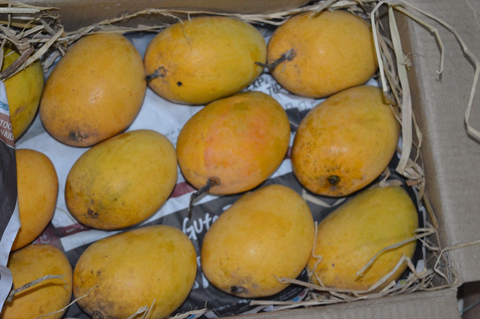 Mango Export from India 2026: Buyers, Data, HS 080450