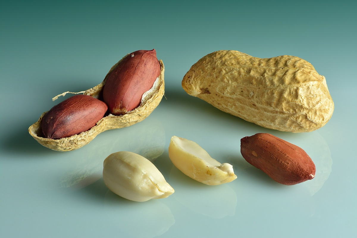 Peanut Export from India 2026: Buyers, HS Codes, Prices