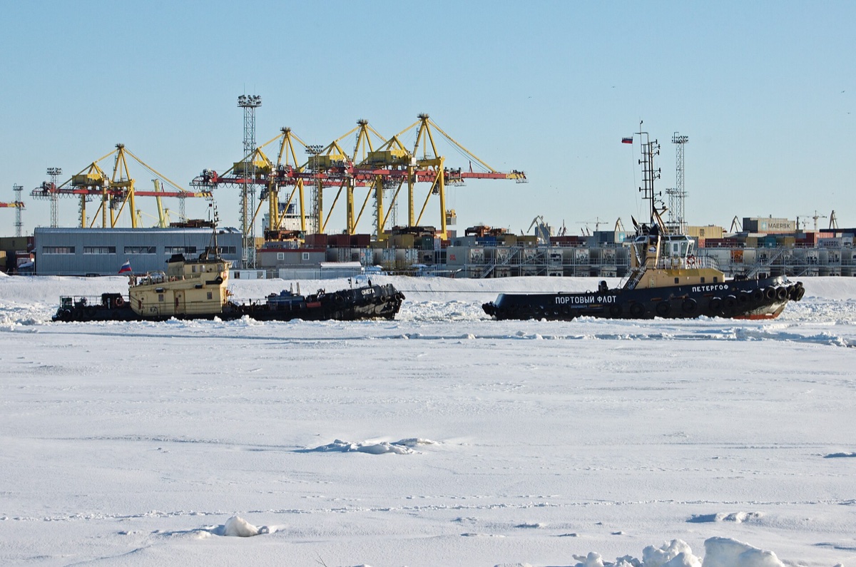 Russia Import Data 2026: Flows, Rerouting & Buyers