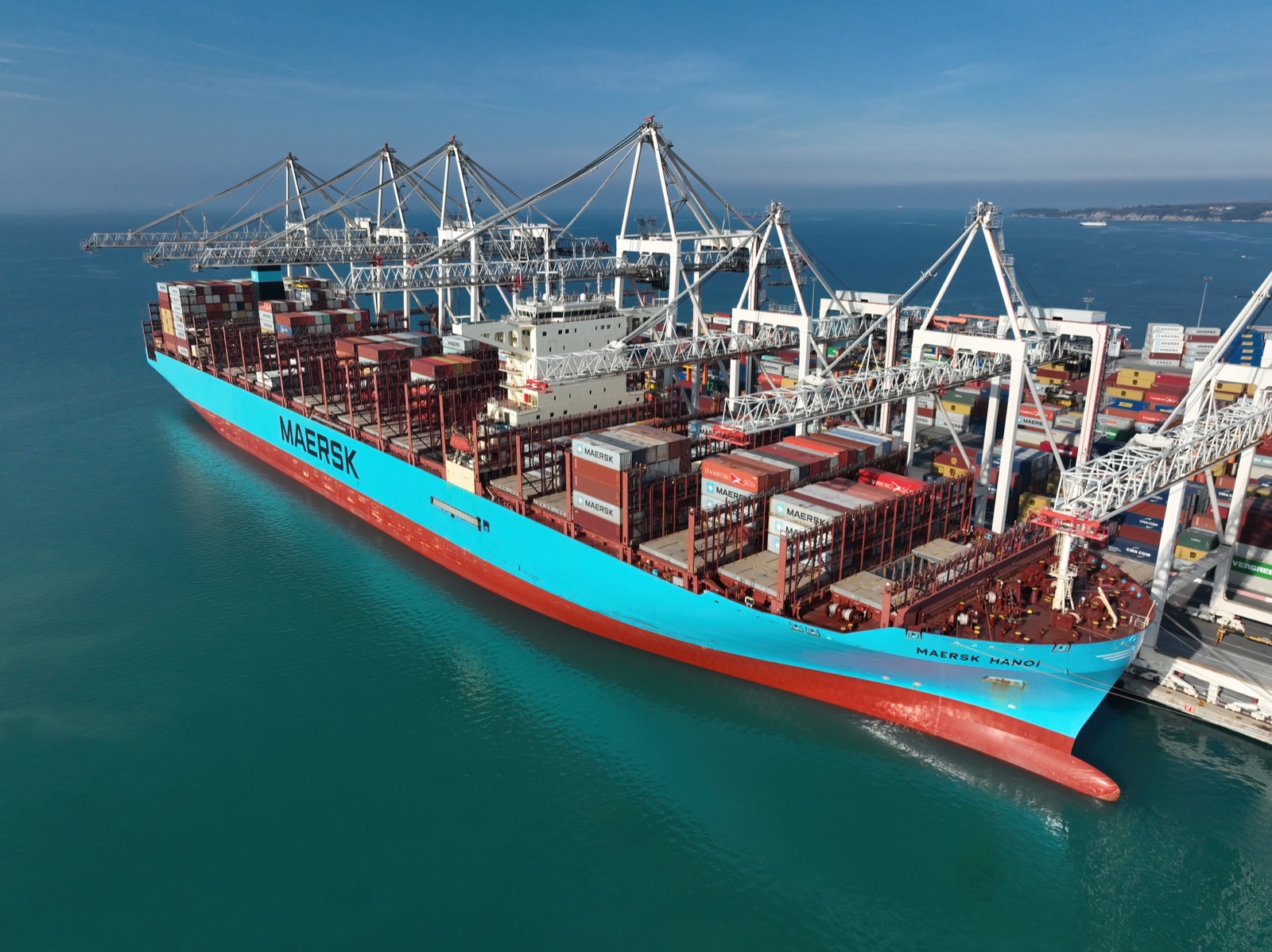 Zauba Alternatives: 6 Best Trade Data Tools 2026